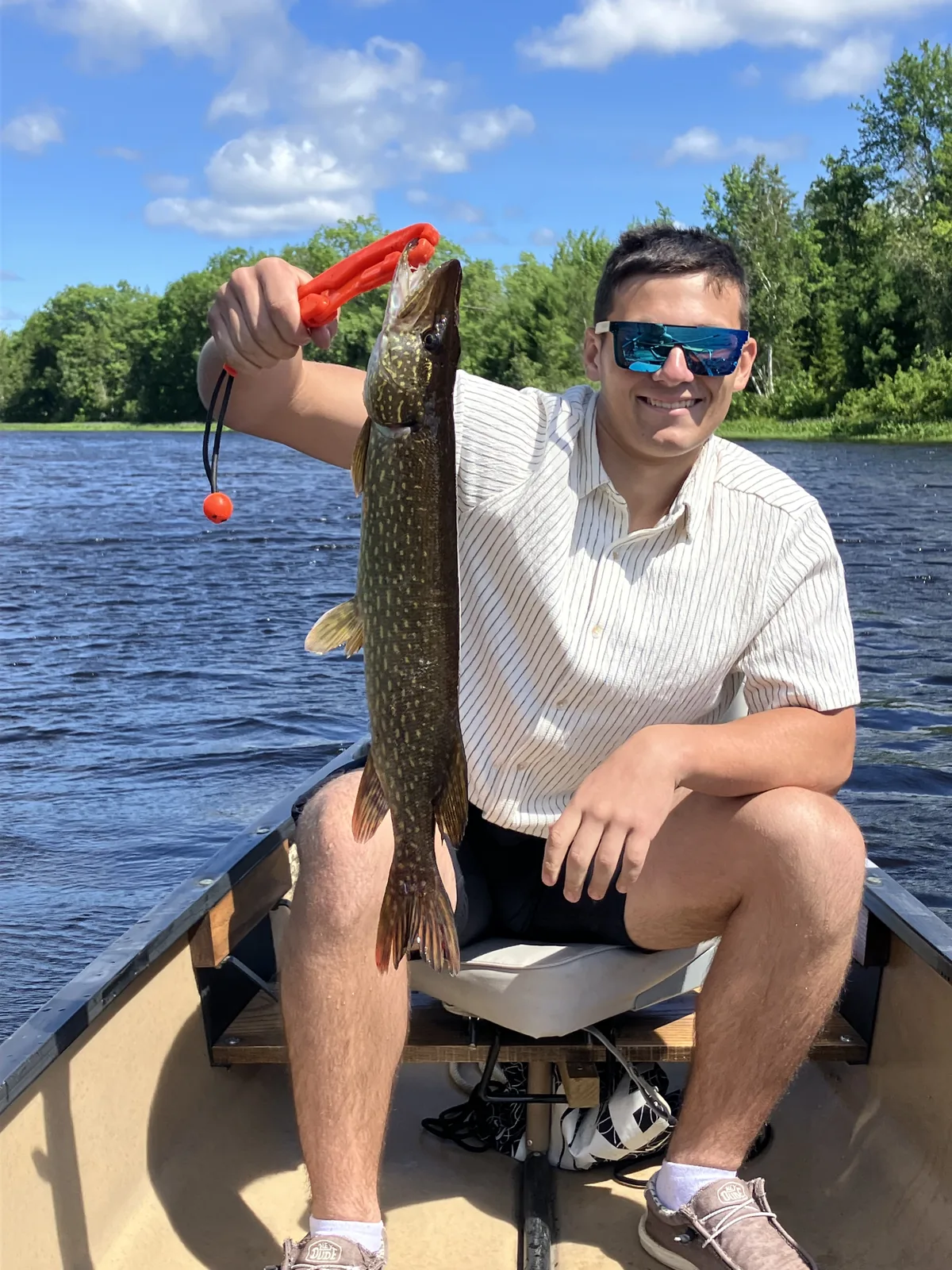 Client holding a northern pike with fish grips from a canoe