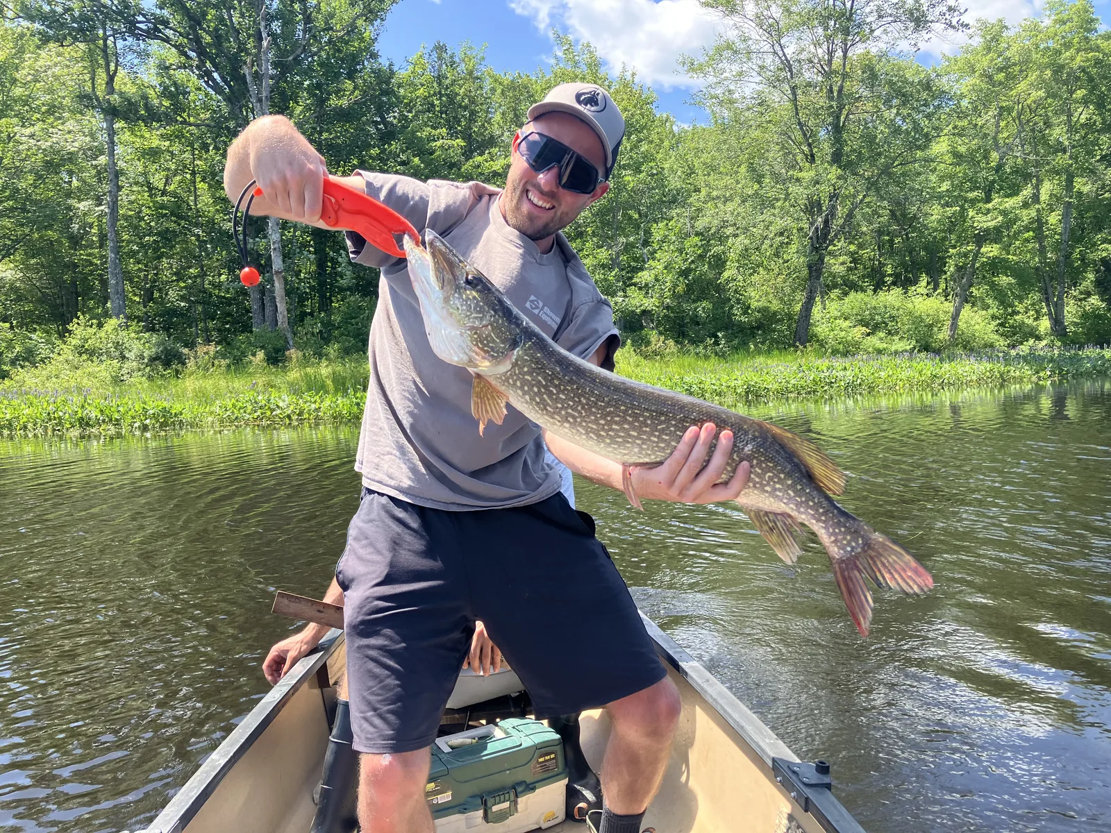 Client holding a large northern pike during a guided fishing trip