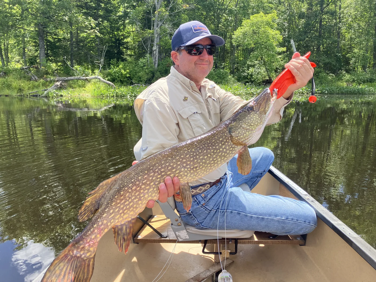 Client holding a large northern pike from a canoe on a Maine river