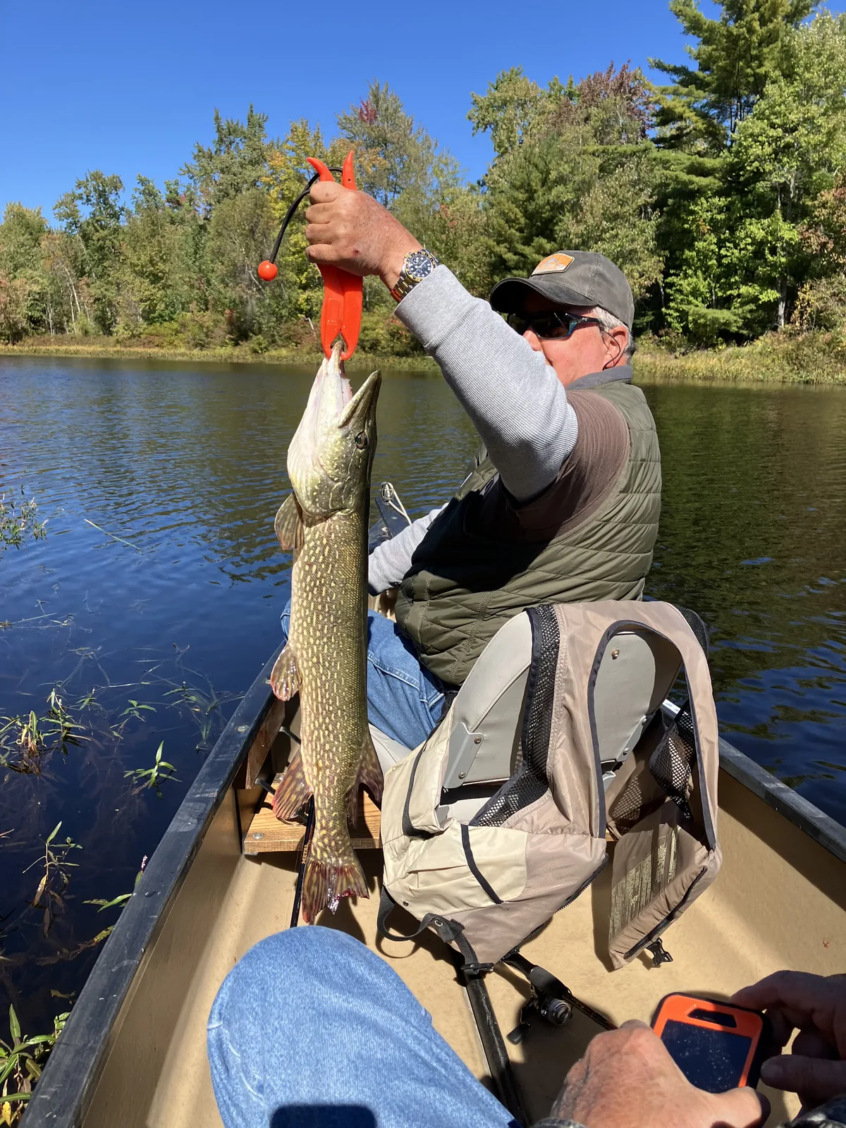 Client holding a northern pike from a canoe during a guided fishing trip