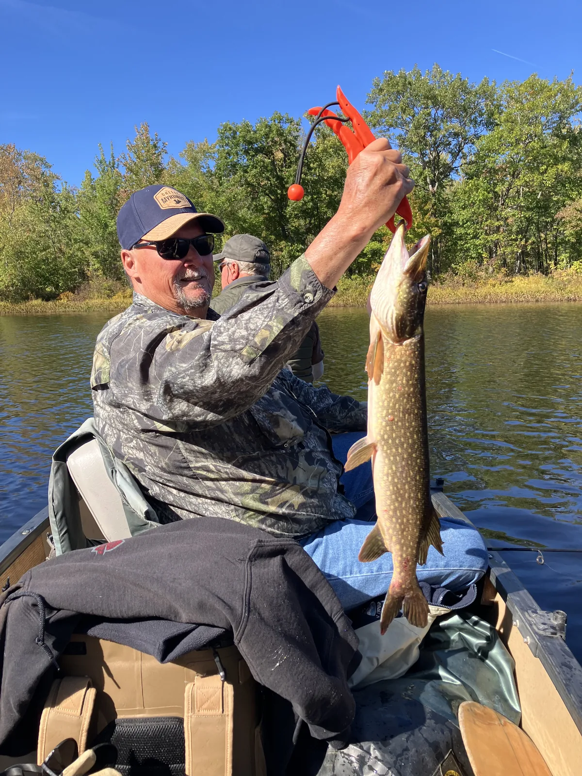 Client holding a northern pike with fish grips from a canoe