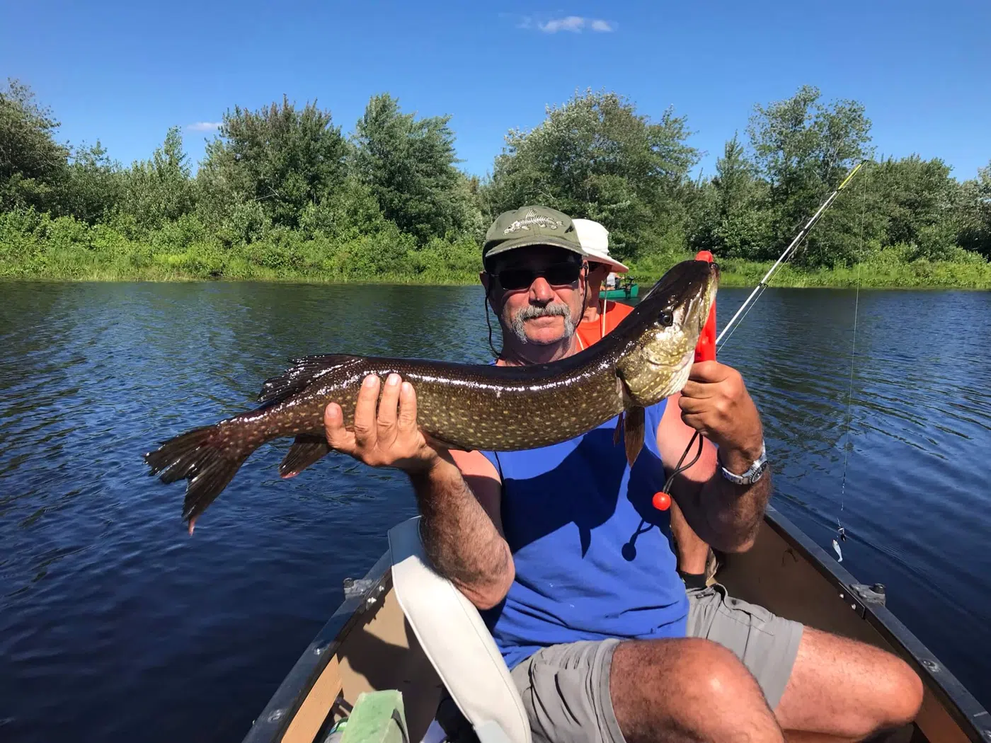 Client holding a northern pike from a canoe during a guided fishing trip