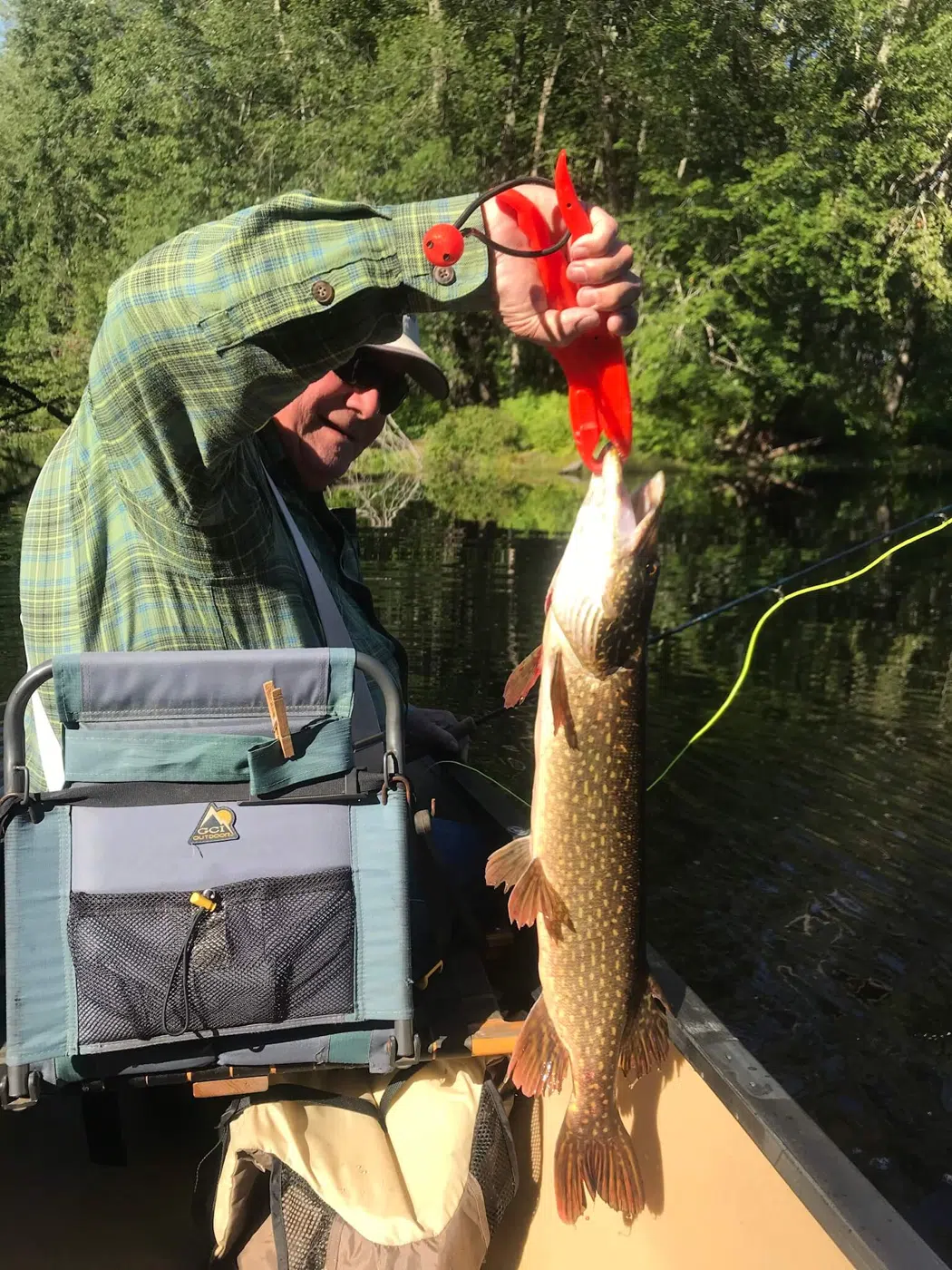 Client holding a northern pike beside a boat during a guided fishing trip