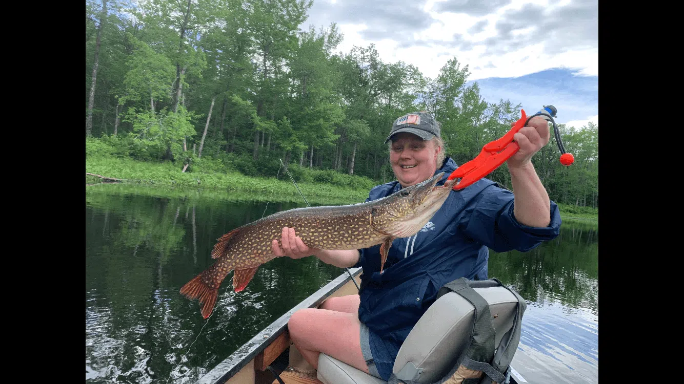 Client holding a northern pike from a canoe during a guided Maine fishing trip