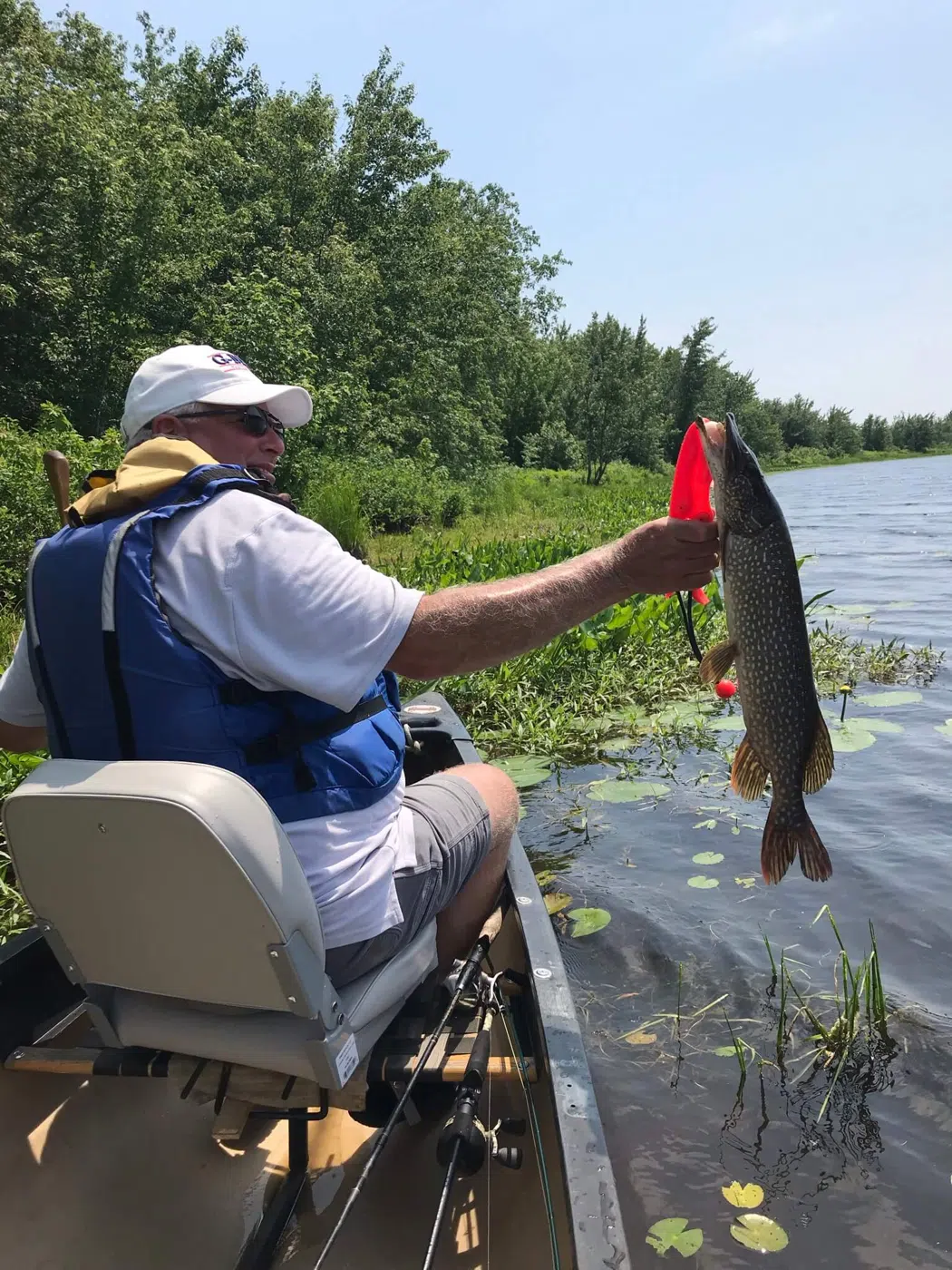 Client holding a fish from a canoe during a guided fishing trip
