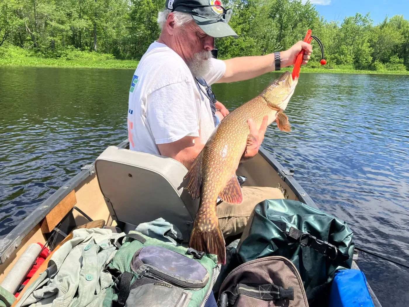 Client holding a northern pike from a canoe