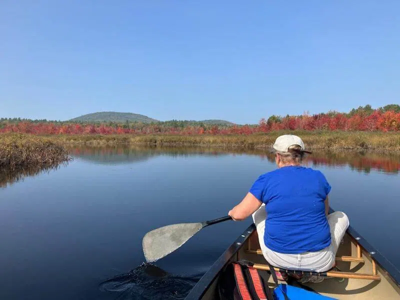 Canoer paddling on a Maine river during fall foliage