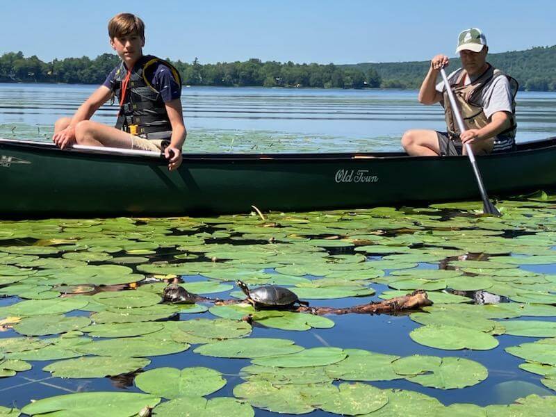 Canoers and turtle